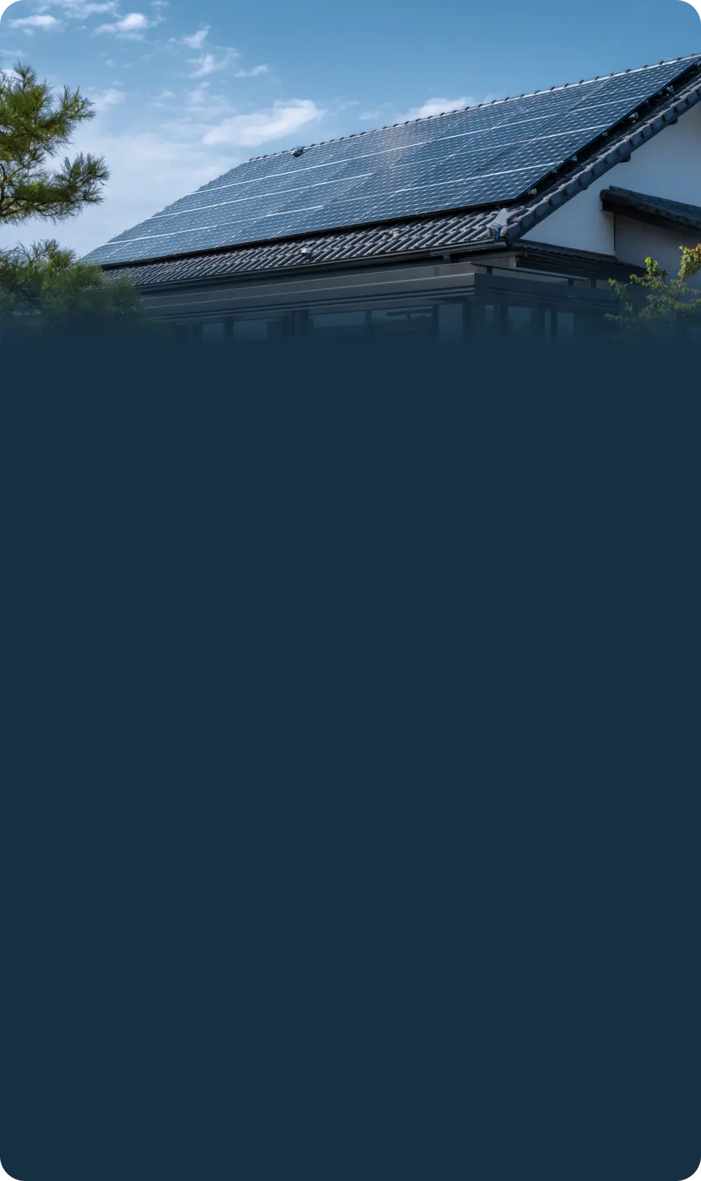 ola_shakti_revolution_mweb_image_v2