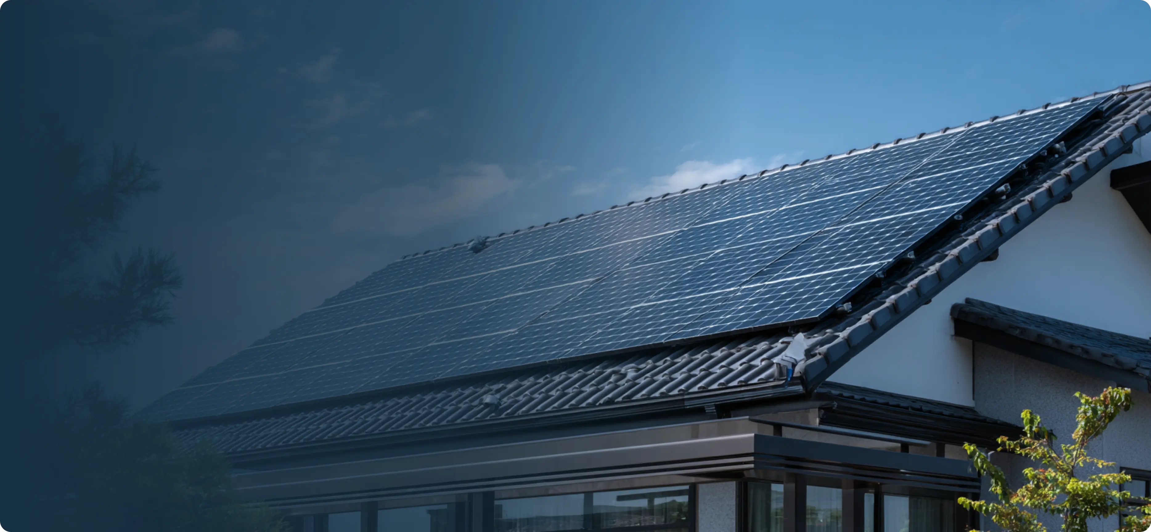 ola_shakti_revolution_web_image